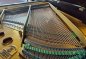 Preview: STEINWAY & SONS Flügel Modell S-155 Nussbaum - vom STEINWAY Techniker