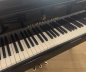 Preview: STEINWAY & SONS Flügel A3 schwarz poliert - "der kleine B !"