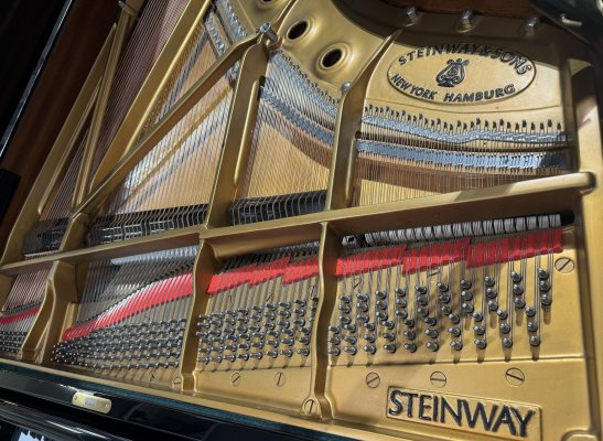 Preview: STEINWAY & SONS Flügel Modell B-211 Baujahr 1981 Hamburg