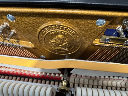 C. BECHSTEIN Klavier Modell A 124 Style Vario schwarz poliert - TOP ZUSTAND!