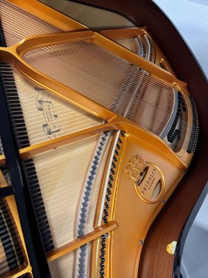 SCHIMMEL Flügel Fridolin F 156 Tradition schwarz poliert - NEU - Gelegenheit wegen kleinem Fehler in der Oberflächenlackierung