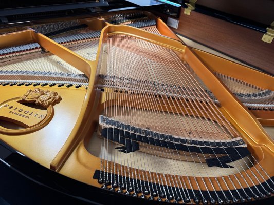 SCHIMMEL Flügel Fridolin F 156 Tradition schwarz poliert - NEU - Gelegenheit wegen kleinem Fehler in der Oberflächenlackierung