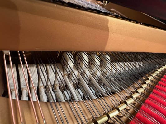 STEINWAY & SONS Flügel M 170 schwarz matt - generalüberholt