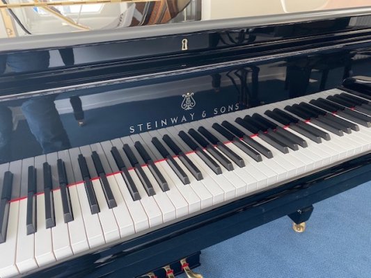 STEINWAY & SONS Flügel S 155 - generalüberholt
