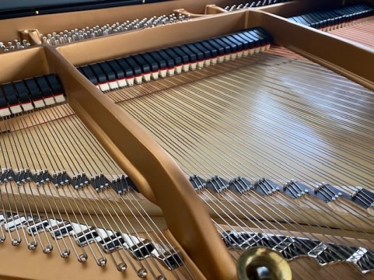 STEINWAY & SONS Flügel S 155 - generalüberholt