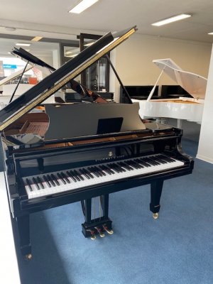 STEINWAY & SONS Flügel S 155 - generalüberholt