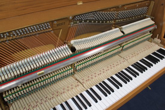 Preview: Begutachtung