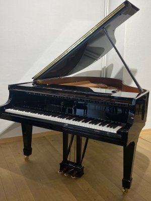STEINWAY & SONS Flügel Modell M-170 schwarz poliert - durch die Generalüberholung wieder neuwertig -