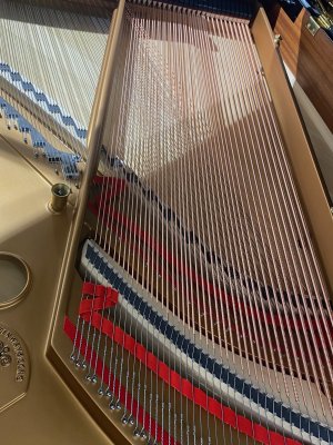 STEINWAY & SONS Flügel Modell M-170 schwarz poliert - durch die Generalüberholung wieder neuwertig -