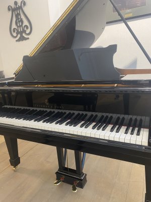 Preview: STEINWAY & SONS Flügel Modell M-170 schwarz poliert - generalüberholt