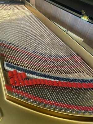 STEINWAY & SONS Flügel Modell M-170 schwarz poliert - generalüberholt