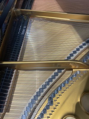 STEINWAY & SONS Flügel Modell M-170 schwarz poliert - generalüberholt
