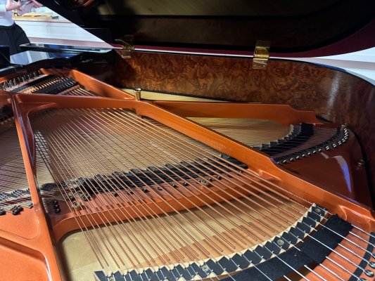 SCHIMMEL Flügel C 169 GP schwarz poliert - gebraucht