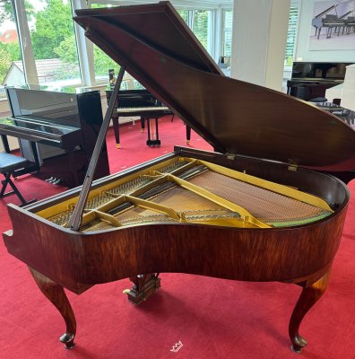 STEINWAY & SONS Flügel Modell S-155 Nussbaum - vom STEINWAY Techniker