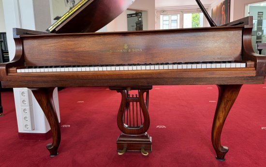 STEINWAY & SONS Flügel Modell S-155 Nussbaum - vom STEINWAY Techniker
