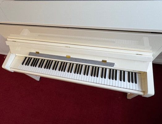 SCHIMMEL Klavier W 114 Tradition weiss poliert - wie neu
