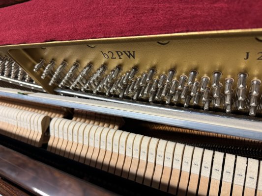 YAMAHA Klavier B2 PW Nussbaum poliert - bestmöglicher Zustand