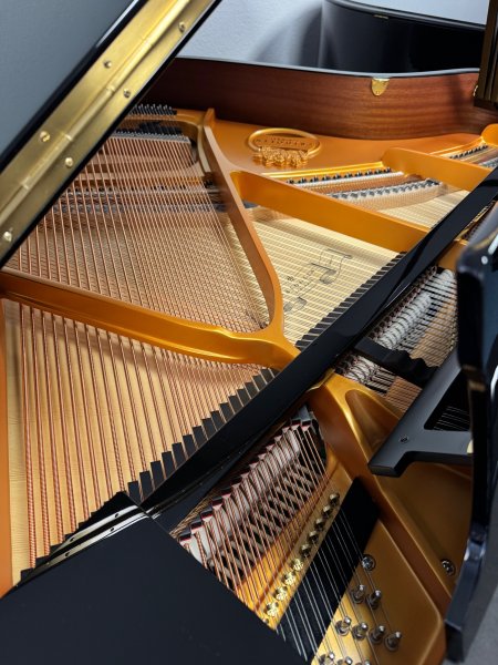 SCHIMMEL Flügel Fridolin F 156 Tradition schwarz poliert - NEU - Gelegenheit wegen kleinem Fehler in der Oberflächenlackierung