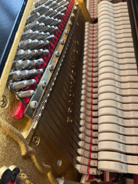 SCHIMMEL Klavier 116S schwarz poliert - gebraucht - in Vorbereitung