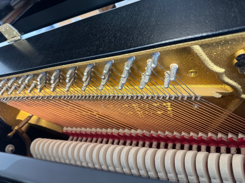 SCHIMMEL Klavier 116S schwarz poliert - gebraucht - in Vorbereitung