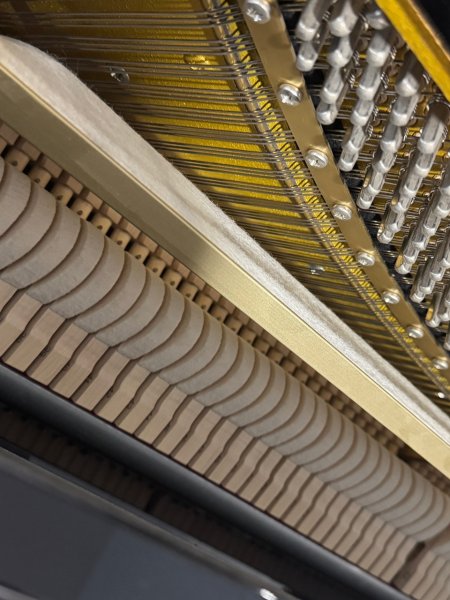 SCHIMMEL Klavier 130 T schwarz poliert - Made in Germany - mit Renner Mechanik - Bester Zustand