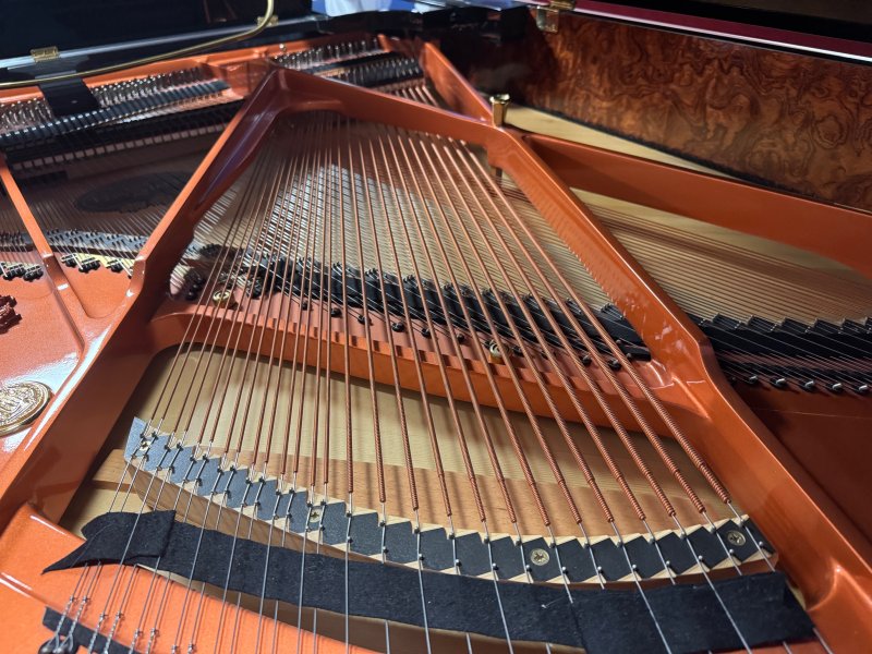 SCHIMMEL Flügel C 169 GP schwarz poliert - gebraucht