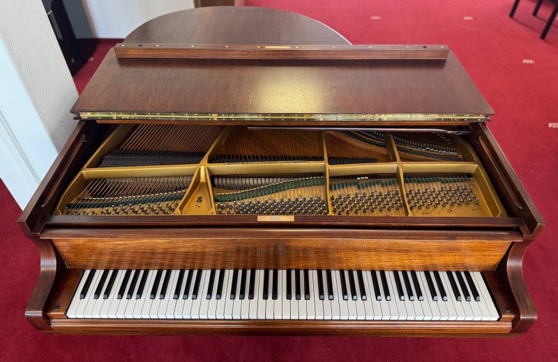 STEINWAY & SONS Flügel Modell S-155 Nussbaum - vom STEINWAY Techniker