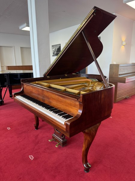 STEINWAY & SONS Flügel Modell S-155 Nussbaum - vom STEINWAY Techniker