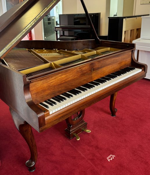 STEINWAY & SONS Flügel Modell S-155 Nussbaum - vom STEINWAY Techniker
