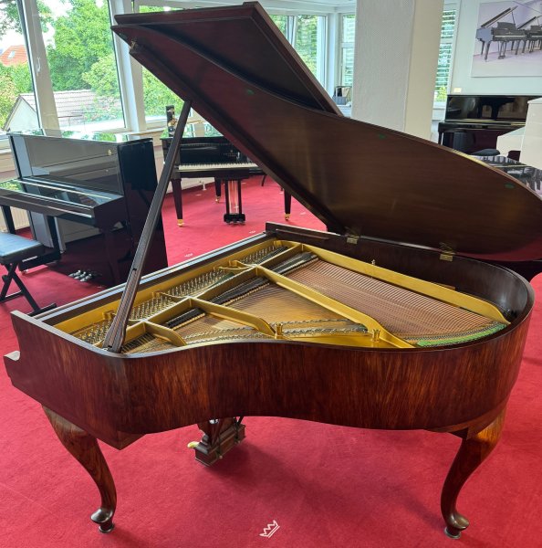 STEINWAY & SONS Flügel Modell S-155 Nussbaum - vom STEINWAY Techniker