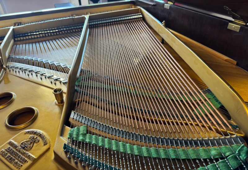 STEINWAY & SONS Flügel Modell S-155 Nussbaum - vom STEINWAY Techniker