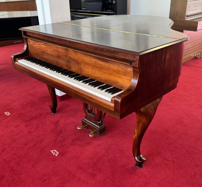 STEINWAY & SONS Flügel Modell S-155 Nussbaum - vom STEINWAY Techniker