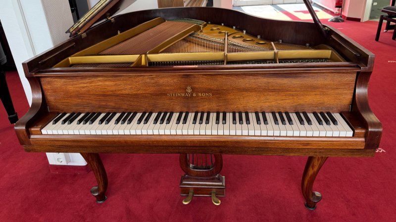 STEINWAY & SONS Flügel Modell S-155 Nussbaum - vom STEINWAY Techniker