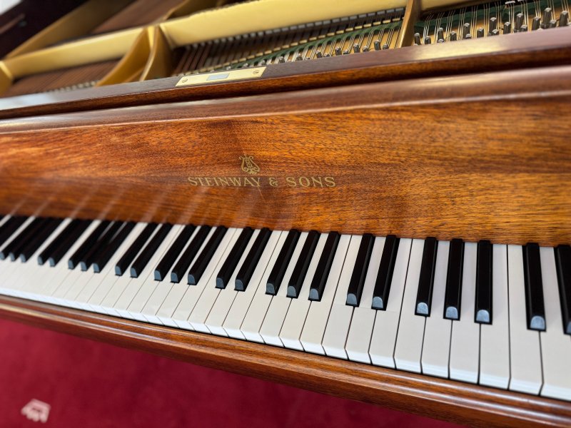 STEINWAY & SONS Flügel Modell S-155 Nussbaum - vom STEINWAY Techniker