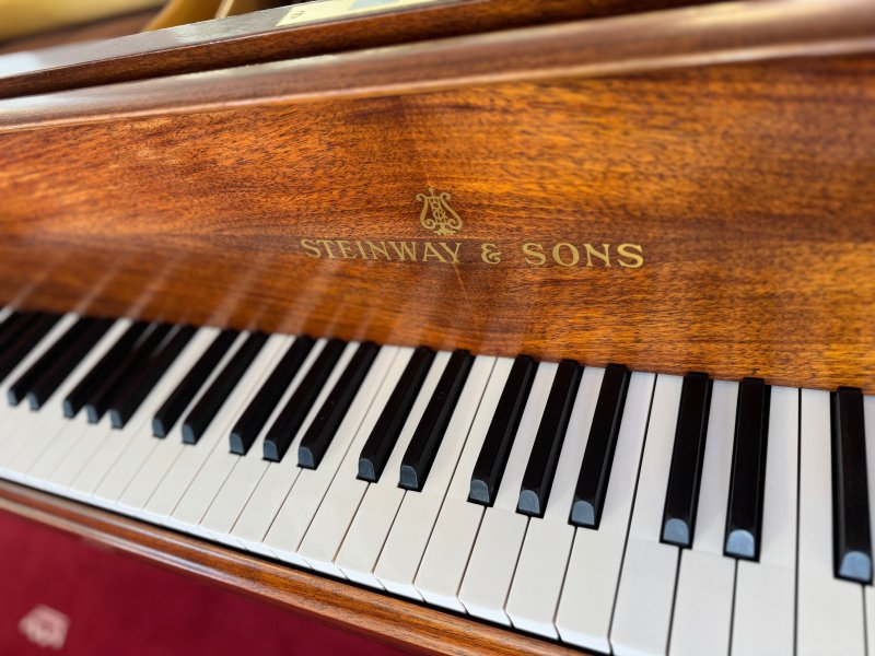 STEINWAY & SONS Flügel Modell S-155 Nussbaum - vom STEINWAY Techniker