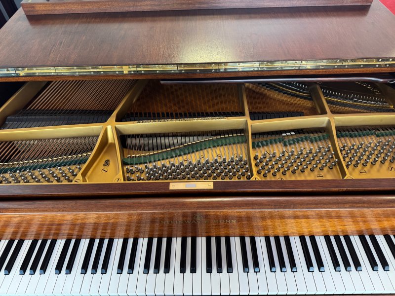 STEINWAY & SONS Flügel Modell S-155 Nussbaum - vom STEINWAY Techniker