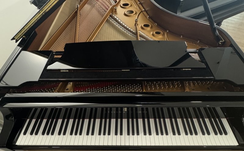 STEINWAY & SONS Flügel A3 schwarz poliert - "der kleine B !"
