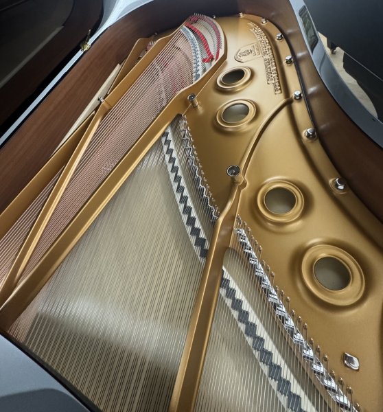 STEINWAY & SONS Flügel A3 schwarz poliert - "der kleine B !"