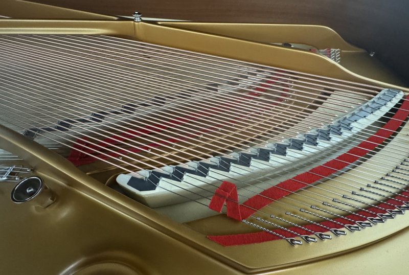 STEINWAY & SONS Flügel A3 schwarz poliert - "der kleine B !"