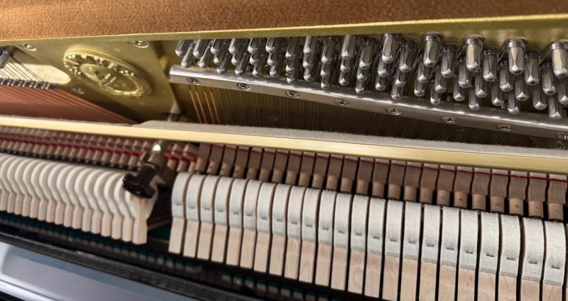 YAMAHA Klavier Modell P 116 schwarz poliert