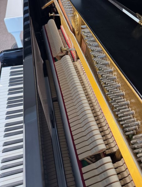 C. BECHSTEIN ZIMMERMANN Klavier Z1 125 - Baujahr 2006 Made in Germany- schwarz poliert -